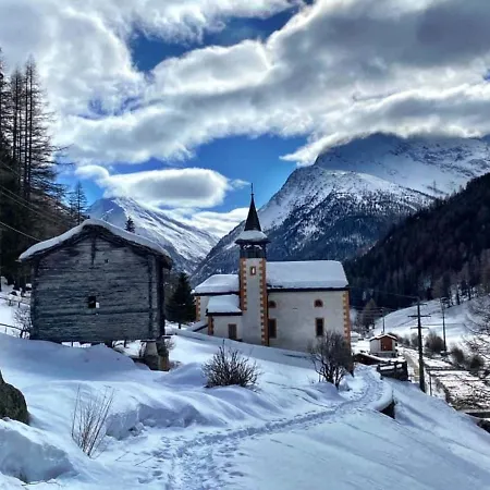Falke * Saas-Grund