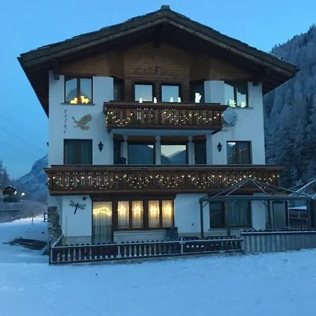 Falke Saas-Grund