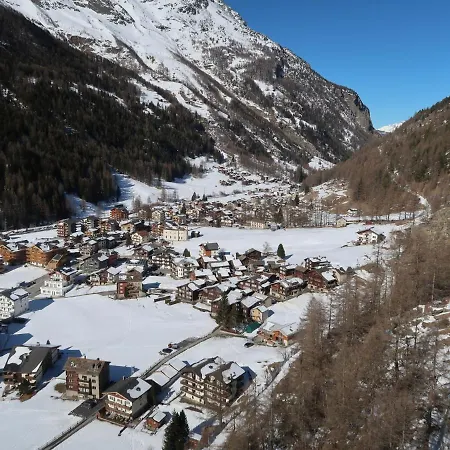 Falke * Saas-Grund