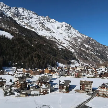 Falke Saas-Grund